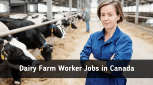 DAIRY FARM WORKER JOBS IN CANADA 2022