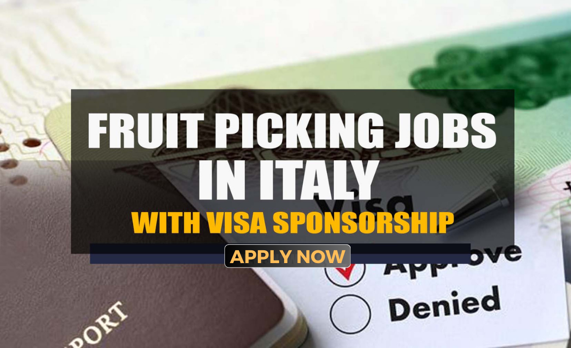 Fruit Picking and Packing Jobs in Italy with Visa Sponsorship